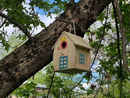 Beginner Bird House Kit