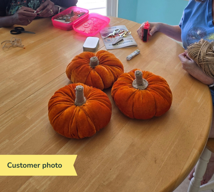 Pumpkin Pillows Kit - LIMITED EDITION