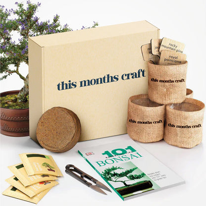 This Month’s Craft Creative Subscription Box