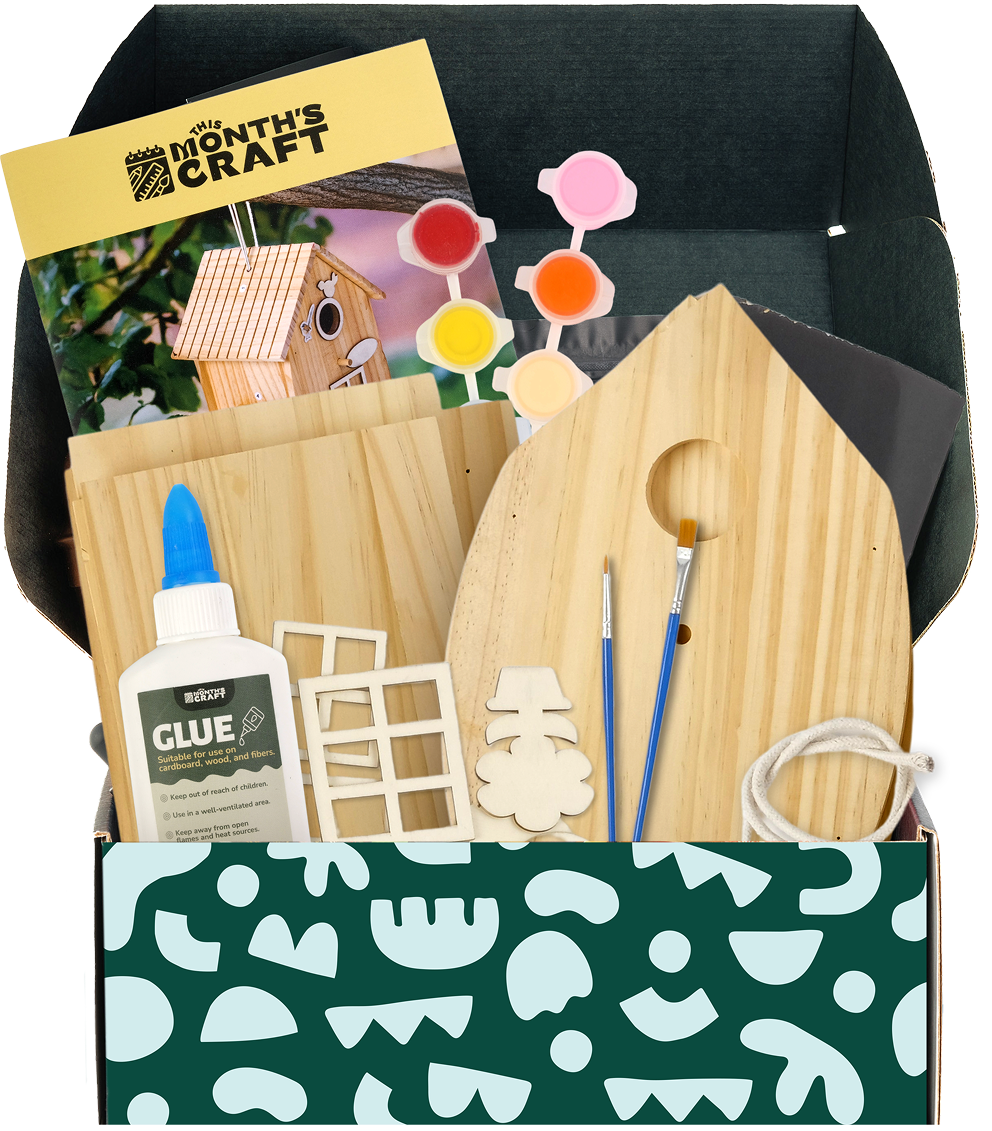 Beginner Bird House Kit