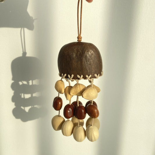 Coconut Resin Shell Seed Shaker Kit