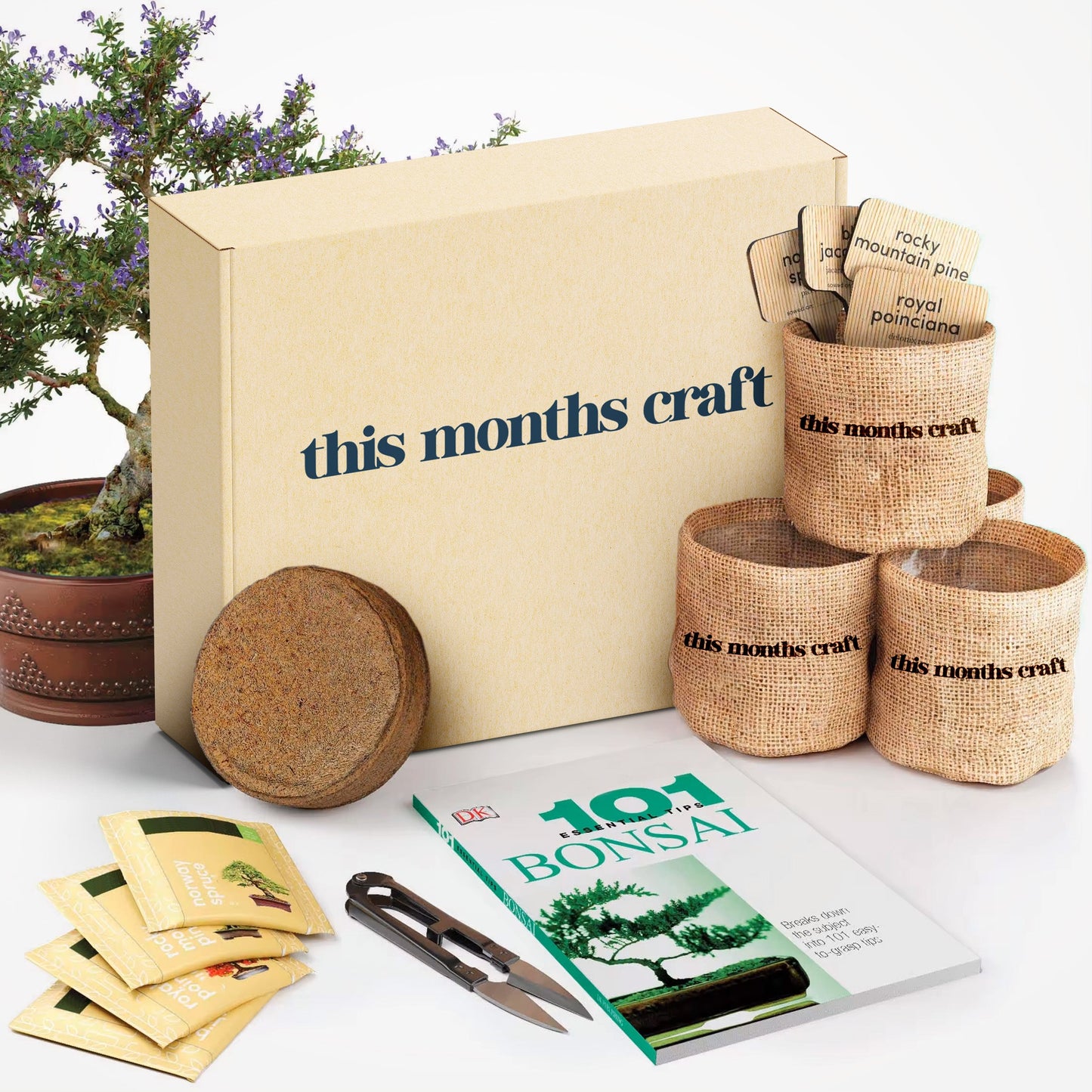 This Month's Craft DIY Subscription Box