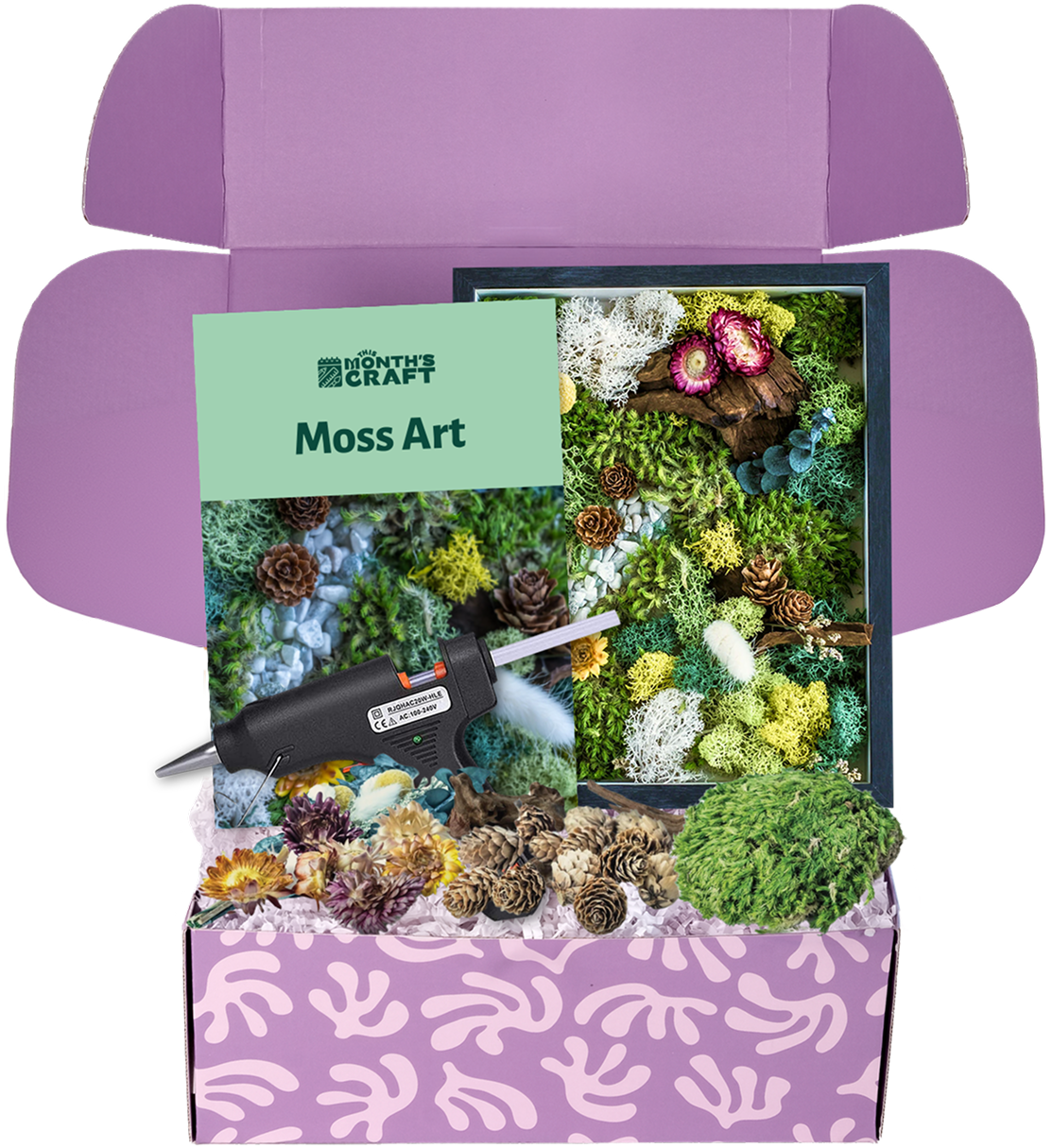 This month s craft box 4 moss art this months craft