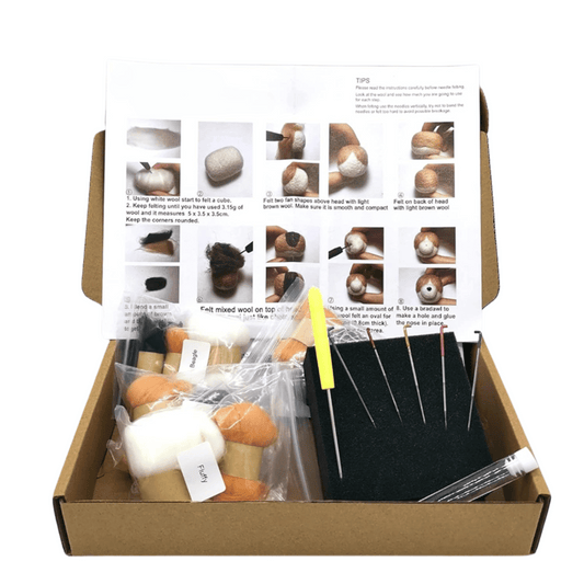 Needle Felting Craft Kit
